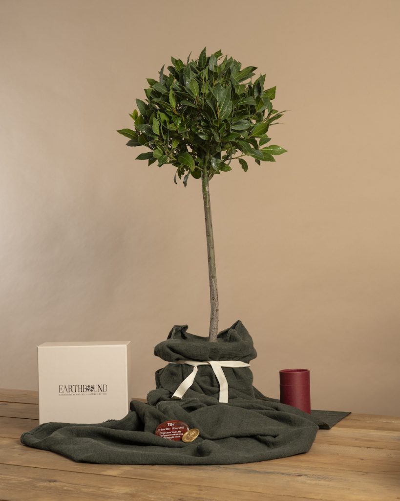 Earthbound Bay Memorial Tree