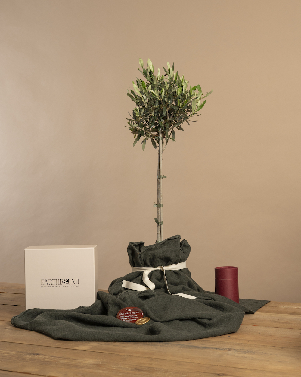 Earthbound Olive Memorial Tree