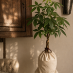 Earthbound Money Tree in Bag